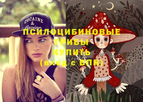 марки nbome Аркадак